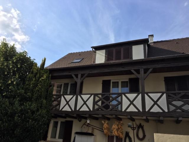 Les Hibiscus Villa Andolsheim Buitenkant foto